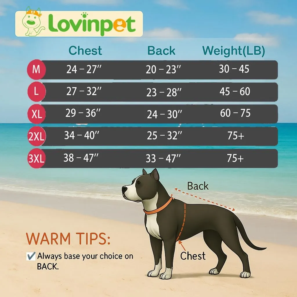 LovinPet Dog Recovery Suit for Large Medium Dogs - Wound Protective Surgical E-Collar Alternative Recovery Bodysuit for Abdominal Wounds After Surgery Dog Onesies Cut-Out Design of Abdomen,XXL